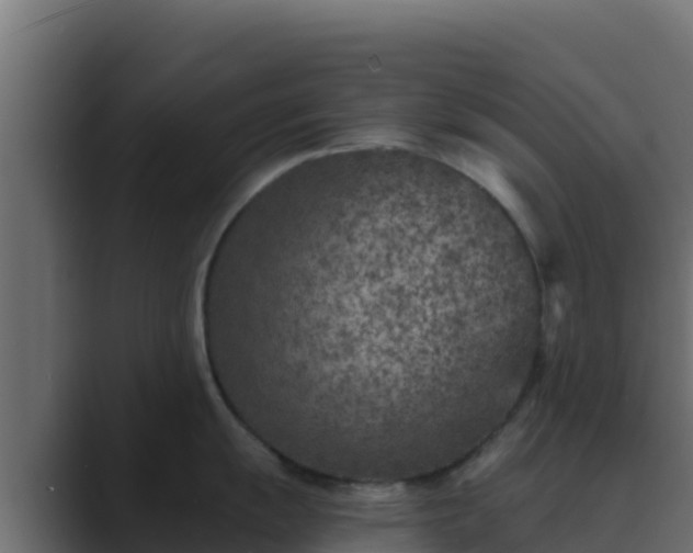 X0000089681055200706281354