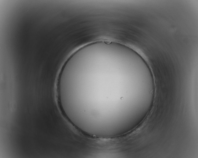 X0000089681056200706281354