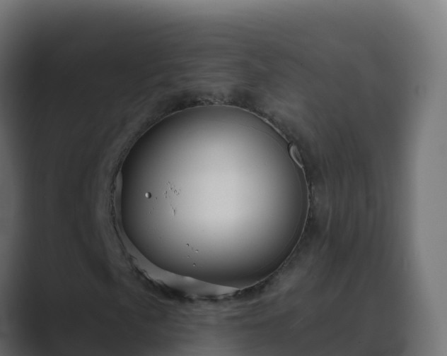 X0000089681057200706281353
