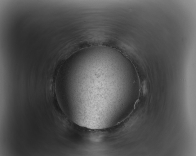 X0000089681059200706281353