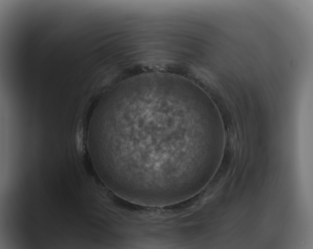 X0000089681060200706281353