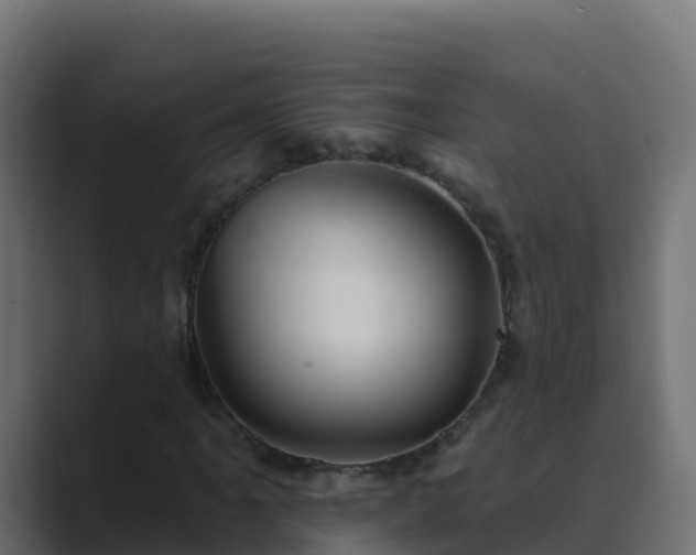 X0000089681061200706281353