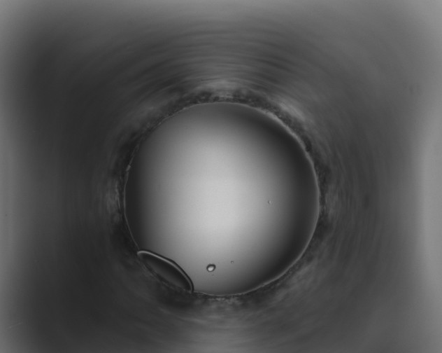 X0000089681062200706281353