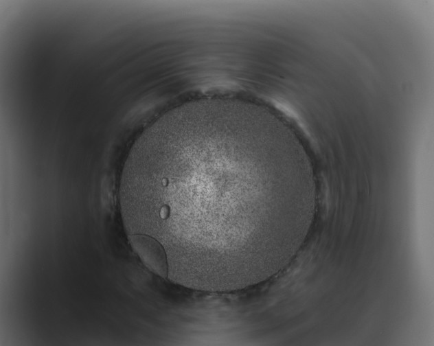 X0000089681063200706281353