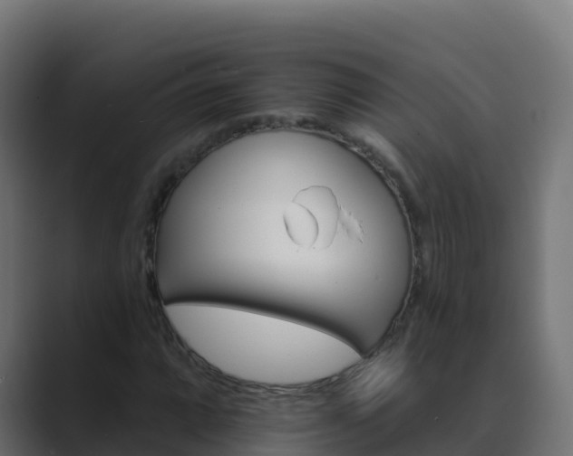 X0000089681064200706281353