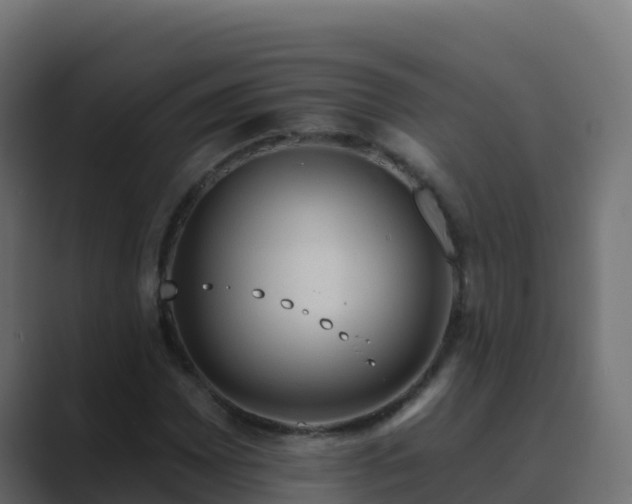 X0000089681065200706281353