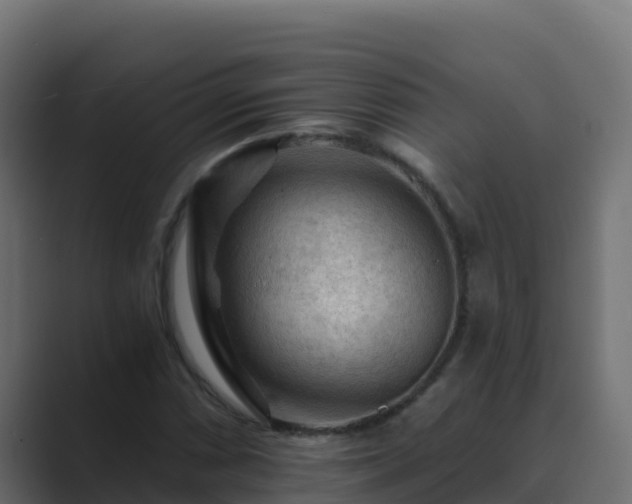X0000089681066200706281353