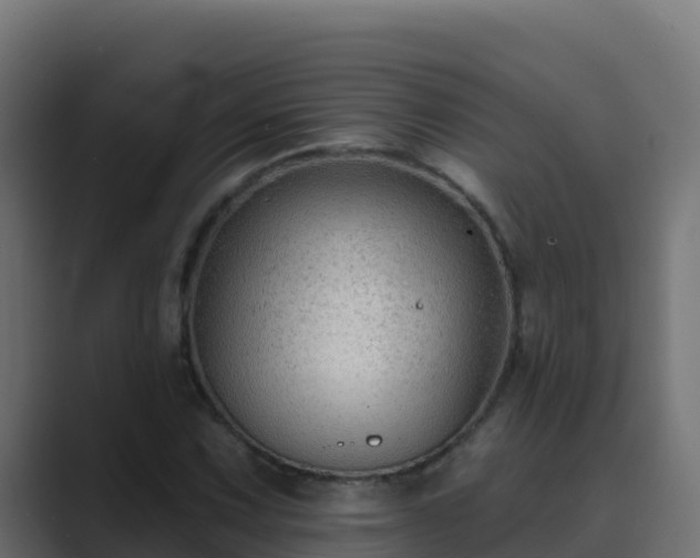 X0000089681067200706281353
