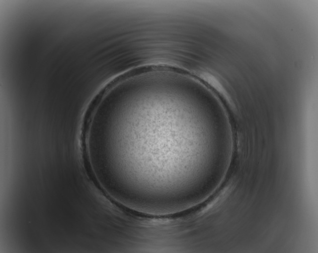 X0000089681068200706281353
