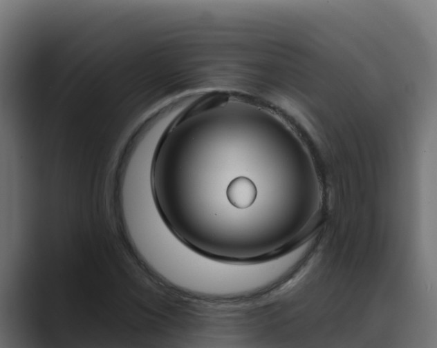 X0000089681069200706281353