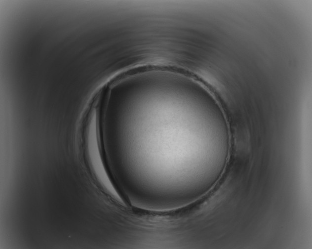 X0000089681070200706281353