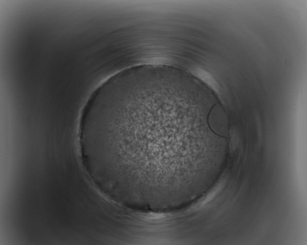 X0000089681071200706281353