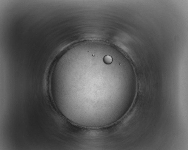 X0000089681074200706281353