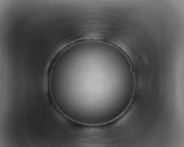 X0000089681075200706281353