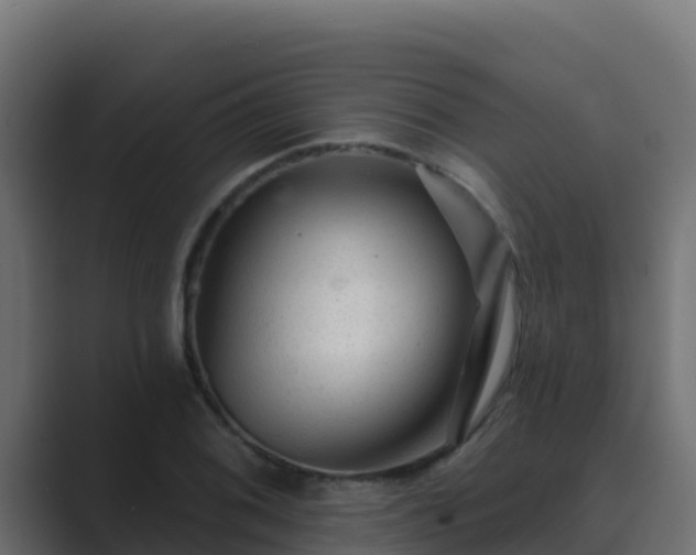 X0000089681076200706281353
