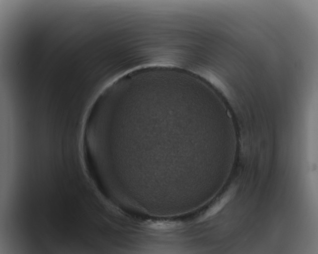 X0000089681077200706281353