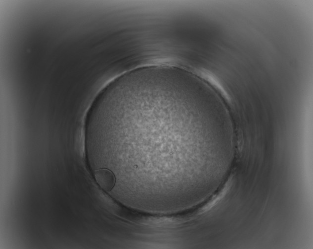 X0000089681079200706281353