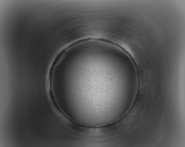 X0000089681080200706281353