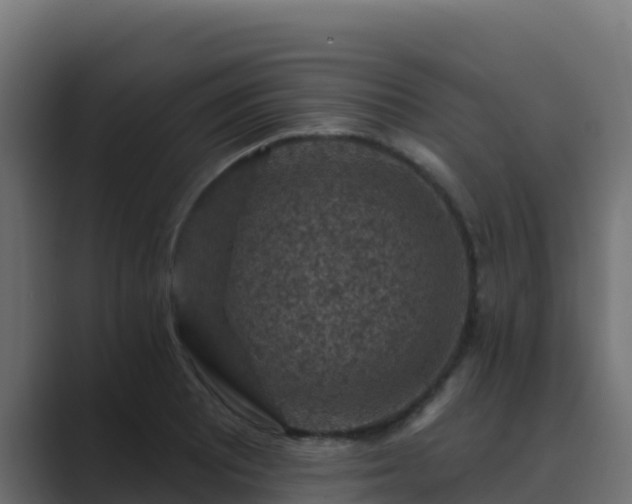 X0000089681081200706281353