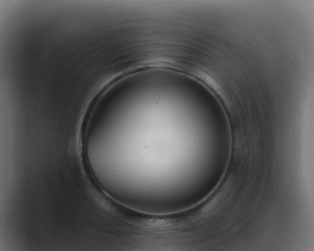 X0000089681082200706281353