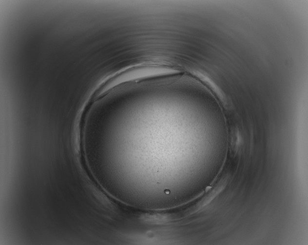 X0000089681083200706281353