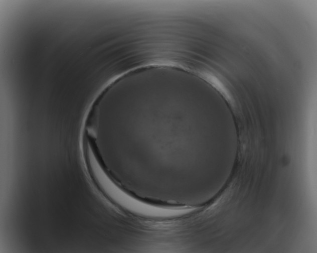 X0000089681084200706281353