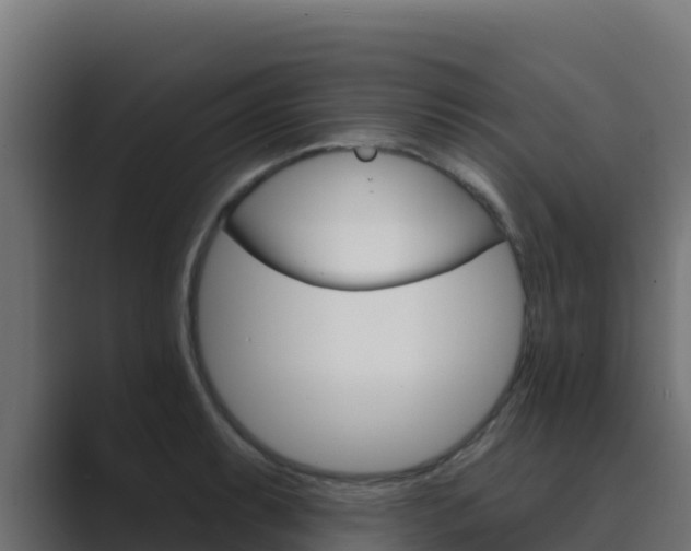 X0000089681087200706281353