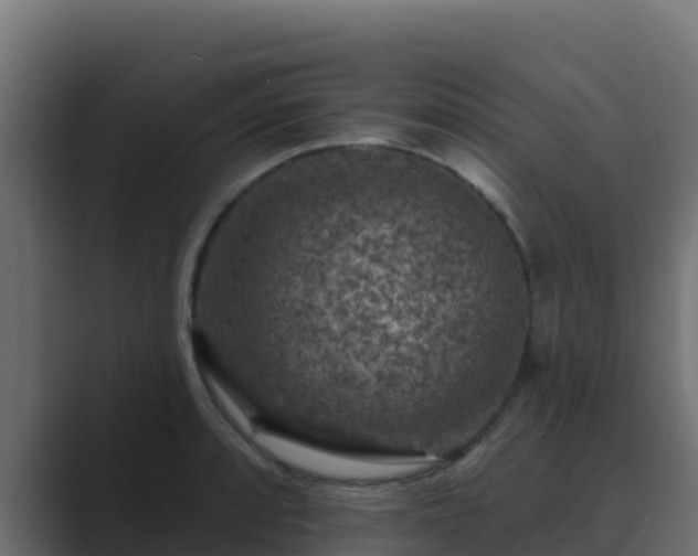 X0000089681088200706281353