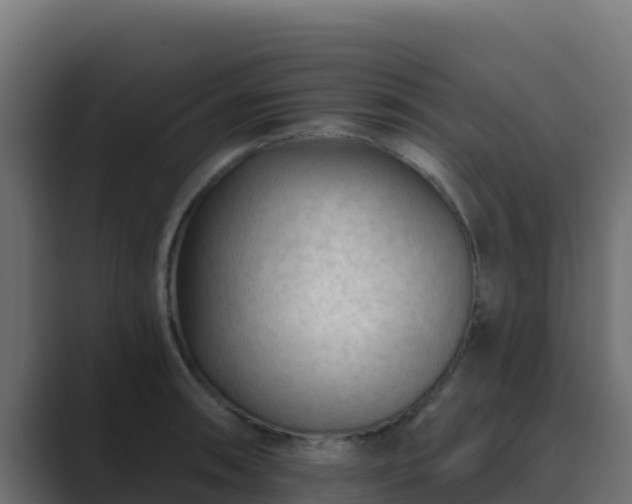 X0000089681090200706281353