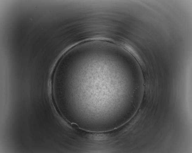 X0000089681092200706281353