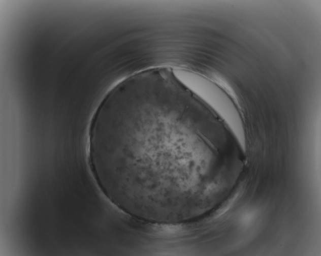 X0000089681095200706281353