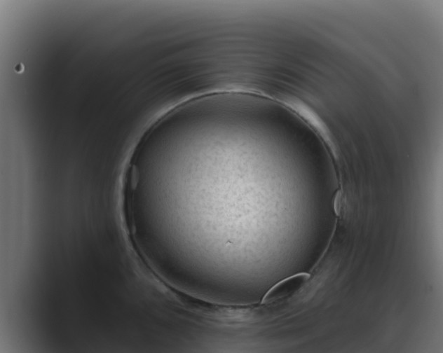 X0000089681096200706281353