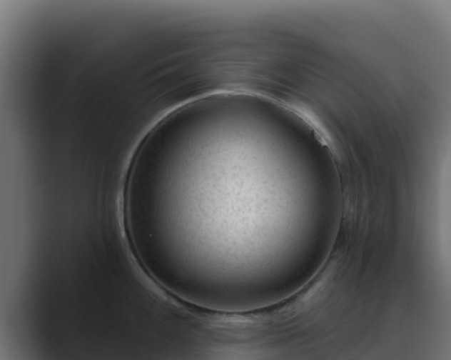 X0000089681100200706281353