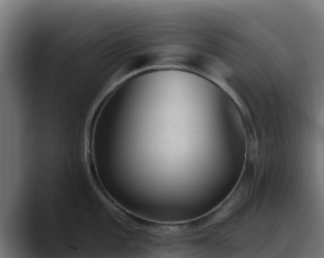 X0000089681101200706281353