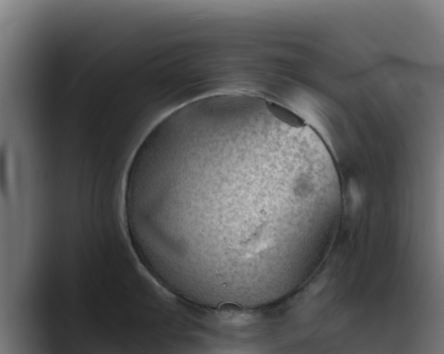X0000089681103200706281353