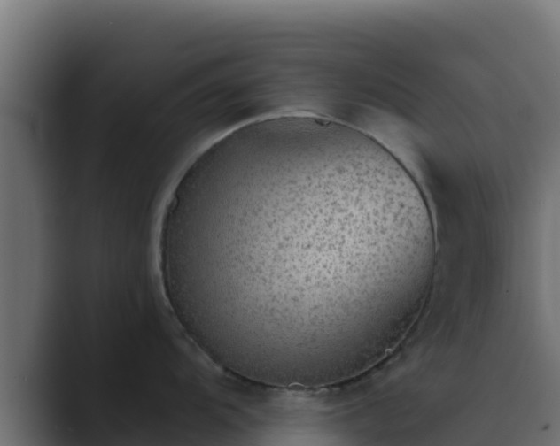 X0000089681104200706281353