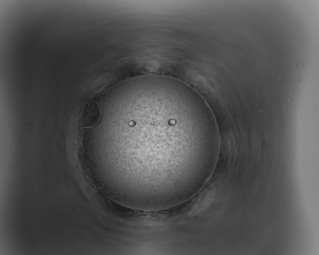 X0000089681105200706281352