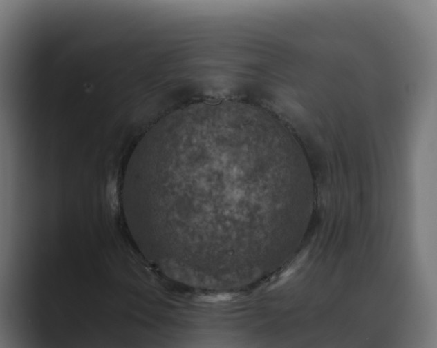 X0000089681106200706281352