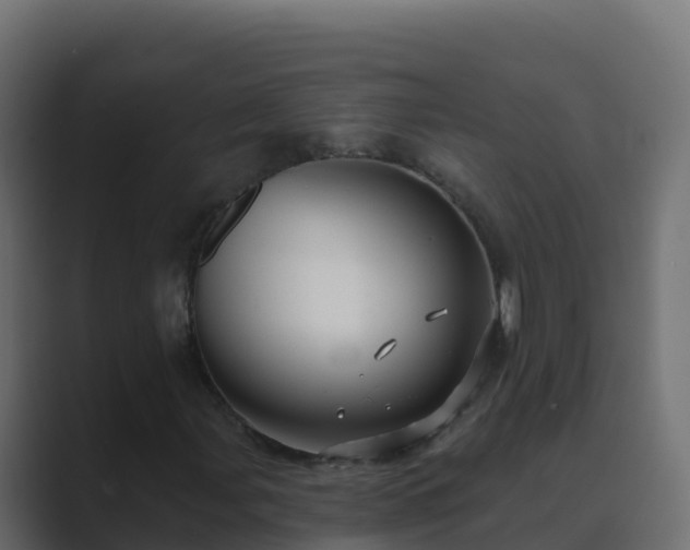 X0000089681107200706281352