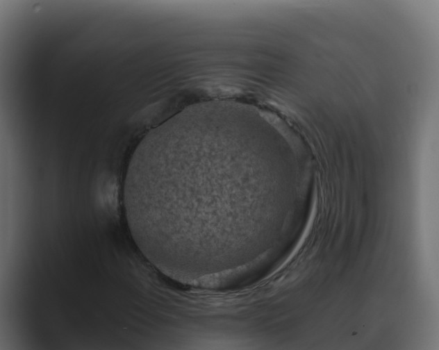 X0000089681108200706281352
