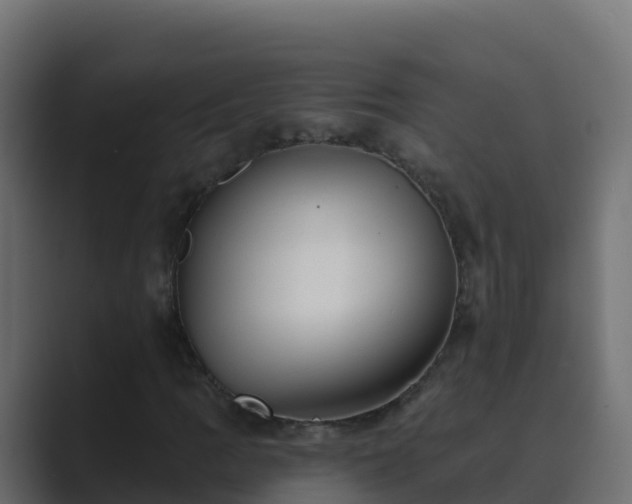X0000089681109200706281352