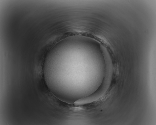 X0000089681110200706281352