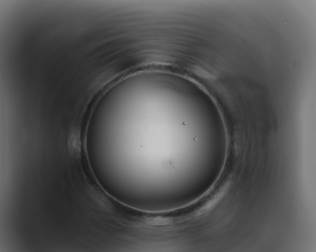 X0000089681113200706281352