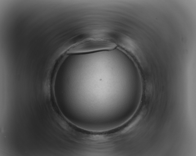 X0000089681114200706281352