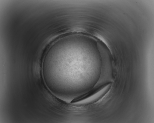 X0000089681115200706281352