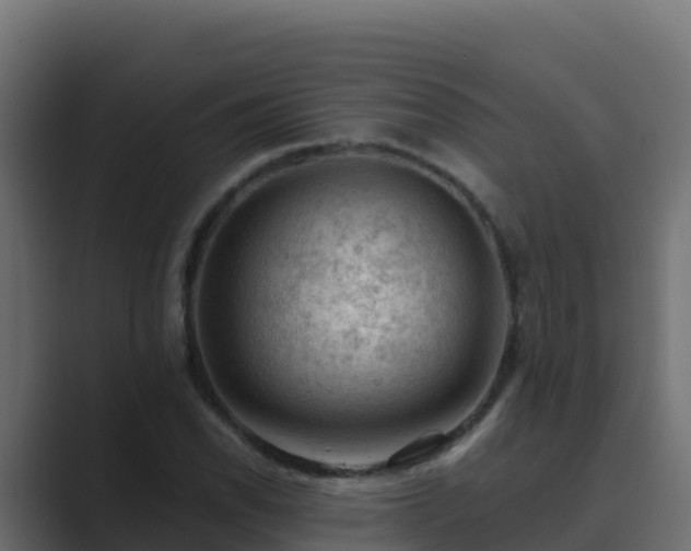 X0000089681118200706281352