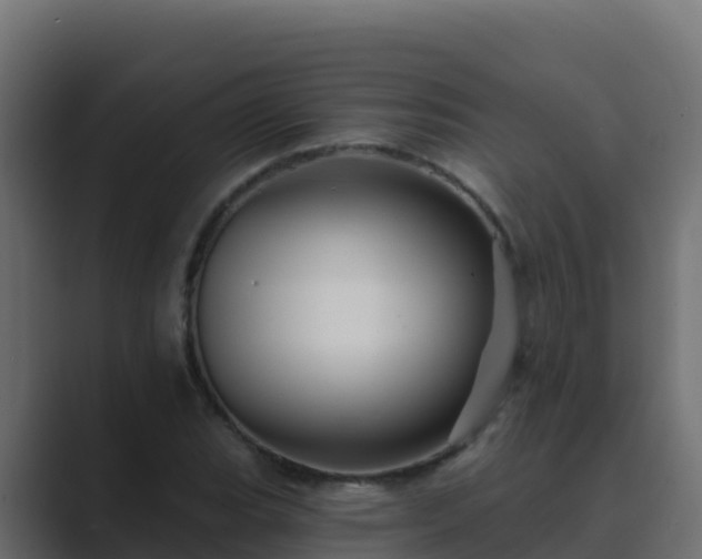 X0000089681119200706281352