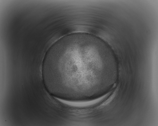 X0000089681121200706281353