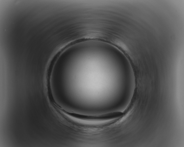 X0000089681122200706281353