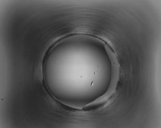 X0000089681123200706281353